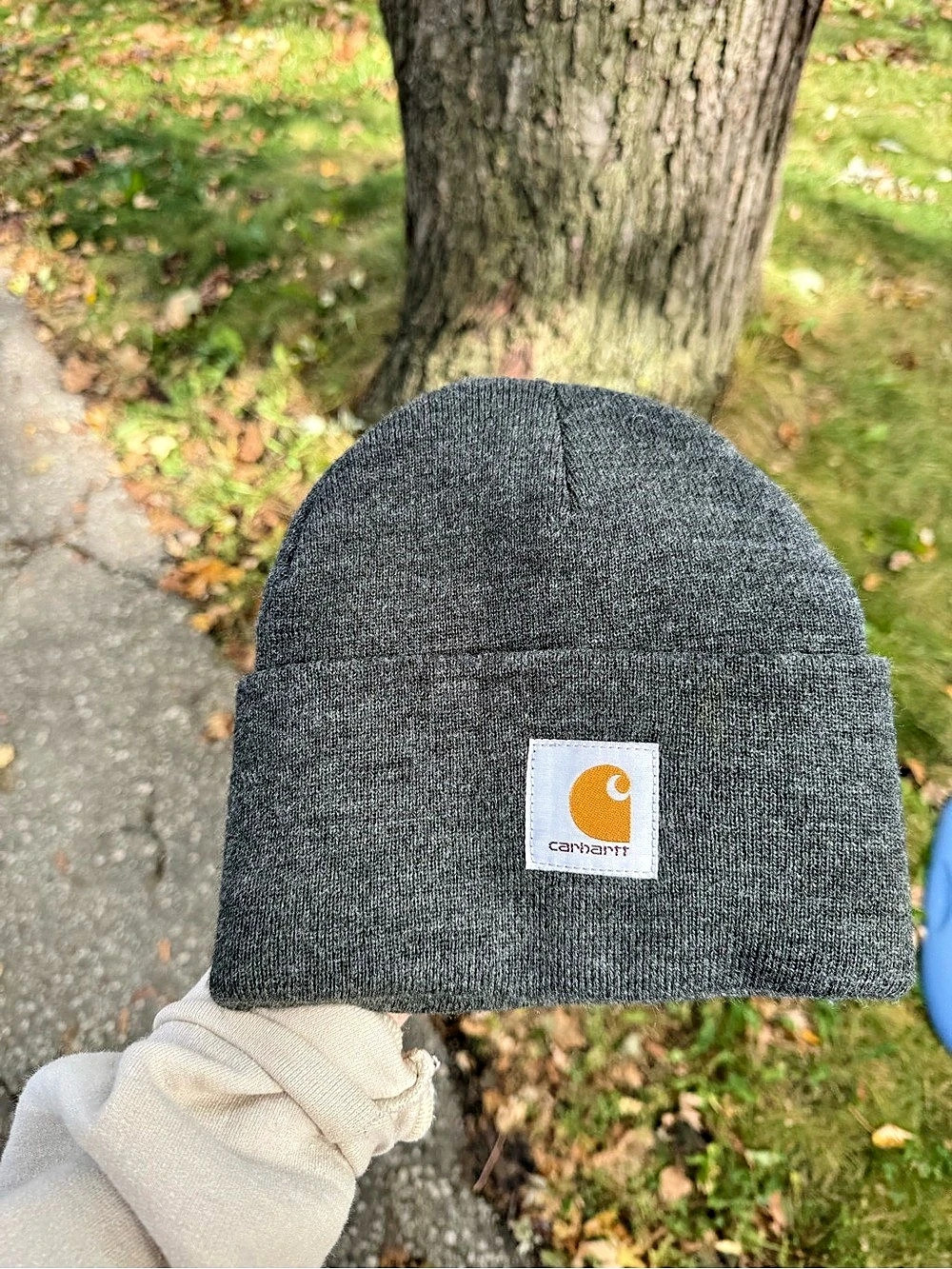 Carhartt Beanie